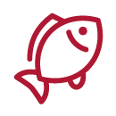 Peixe