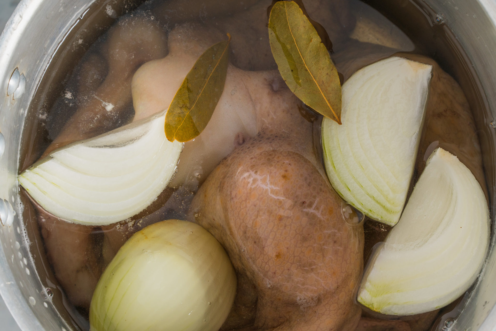 polvo cozido com cebola e louro