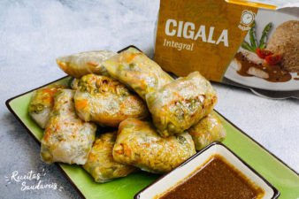 spring rolls arroz integral