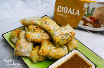 spring rolls arroz integral
