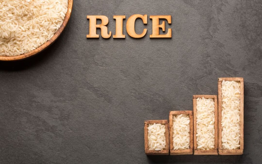 Diferença Entre Arroz Normal e Integral: Uma Análise Detalhada