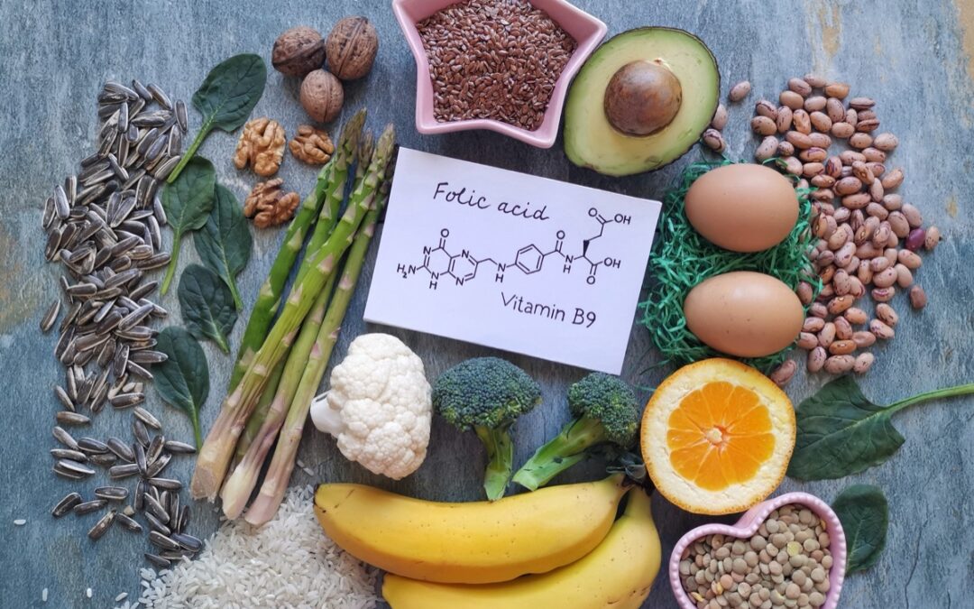 Alimentos ricos em ácido fólico e os seus benefícios