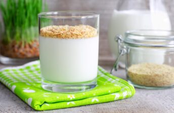 Quantas Gramas de Proteína Por Dia