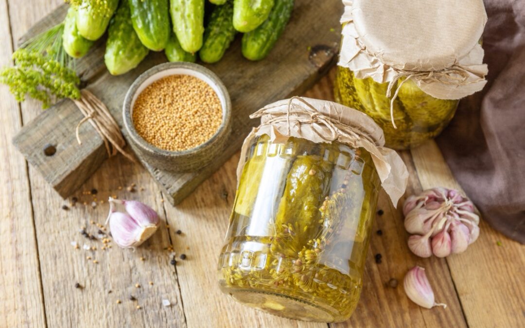 Alimentos fermentados e os seus benefícios